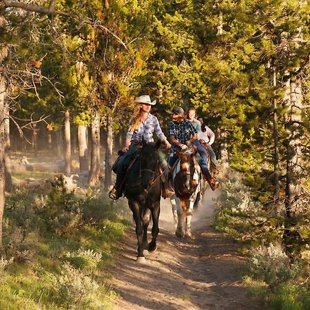 Headwaters Lodge & Cabins At Flagg Ranch 모란 외부 사진