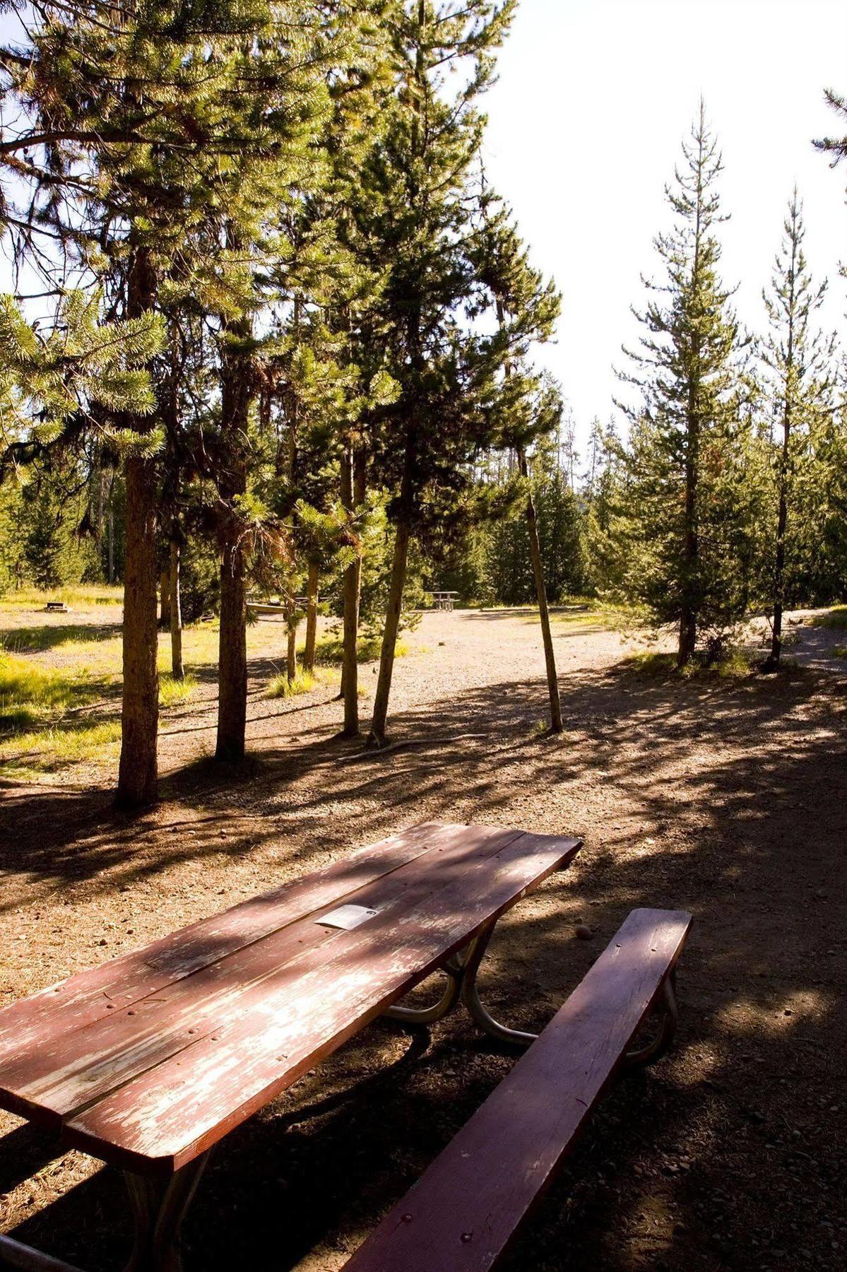 Headwaters Lodge & Cabins At Flagg Ranch 모란 외부 사진