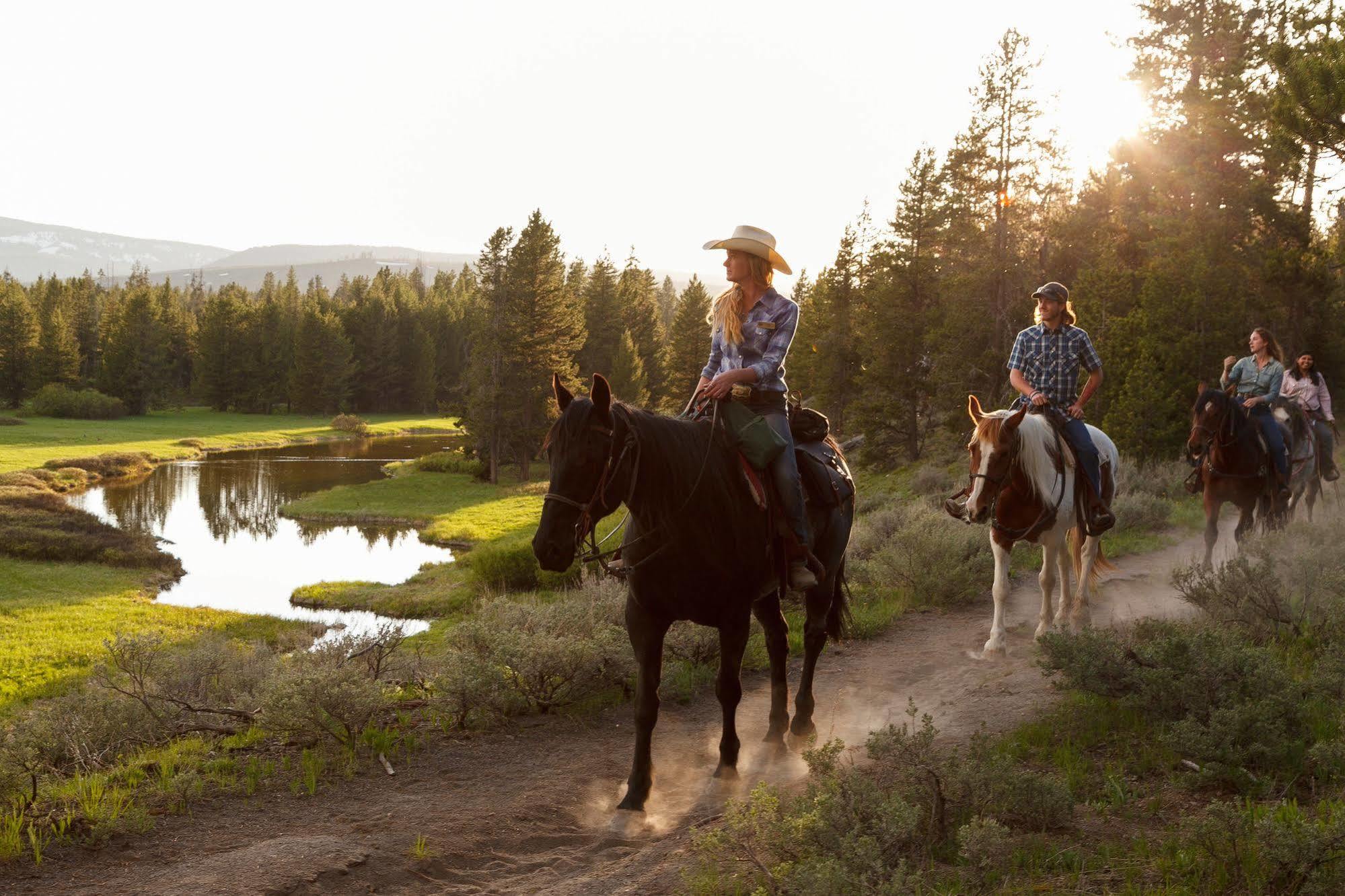Headwaters Lodge & Cabins At Flagg Ranch 모란 외부 사진