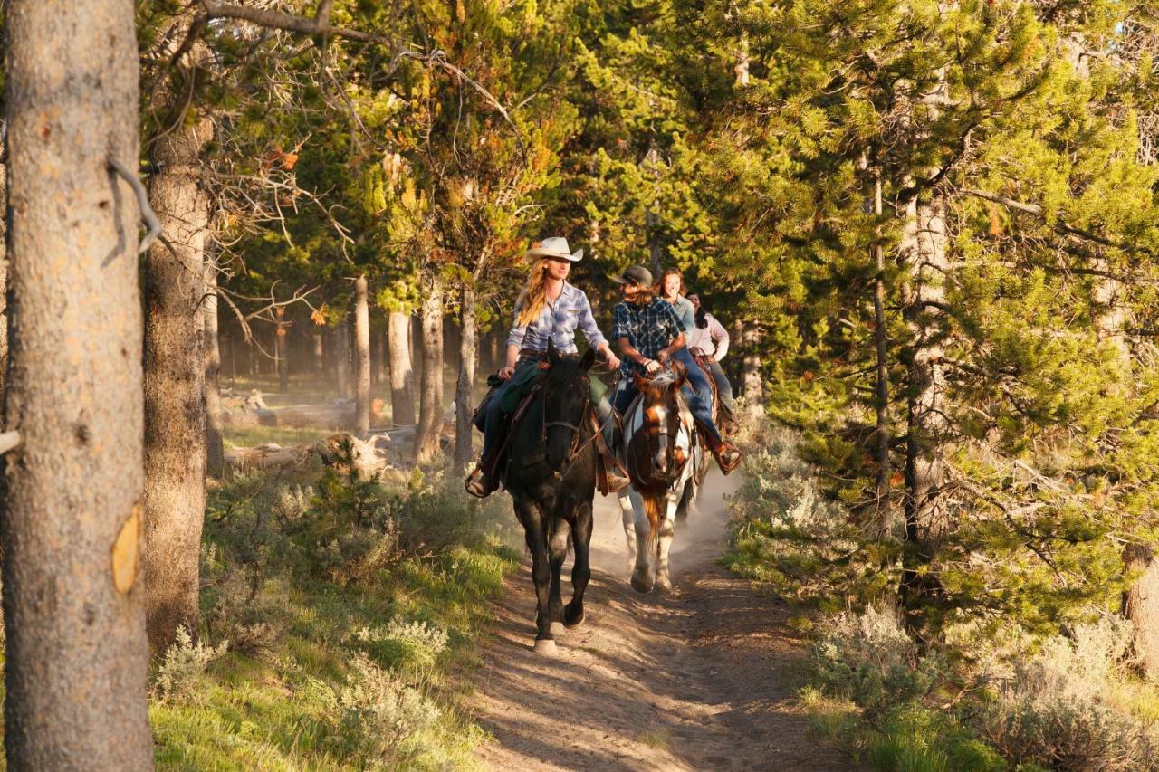 Headwaters Lodge & Cabins At Flagg Ranch 모란 외부 사진